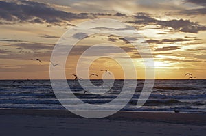 Baltic sea photo